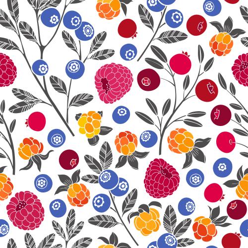 Vektor Himbeeren, Moorbeeren, Kranbeeren und Blaubeeren auf weißem