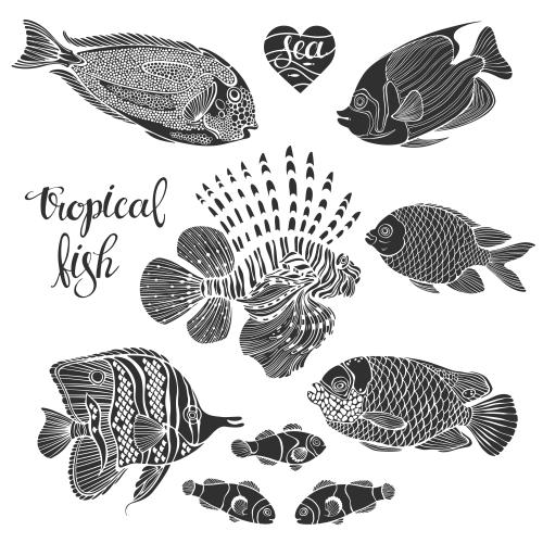 Vektor tropische Fische, neun schwarze Silhouetten auf weißem