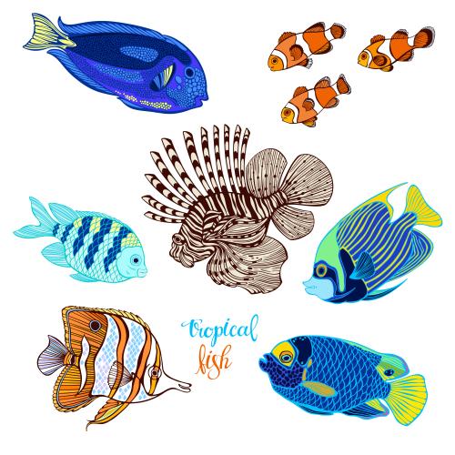 Vektor Cartoon-tropische Fische auf weißem