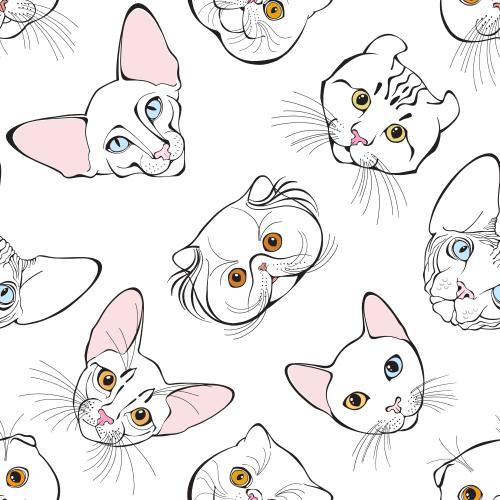 Vektor gesichter verschiedener Katzenrassen auf weißem